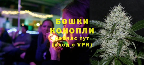 дживик Верея