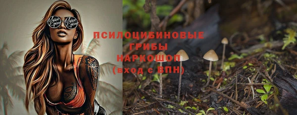дживик Верея