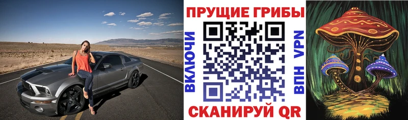 Купить закладки  Черноголовка  Галлюциногенные грибы мухоморы 